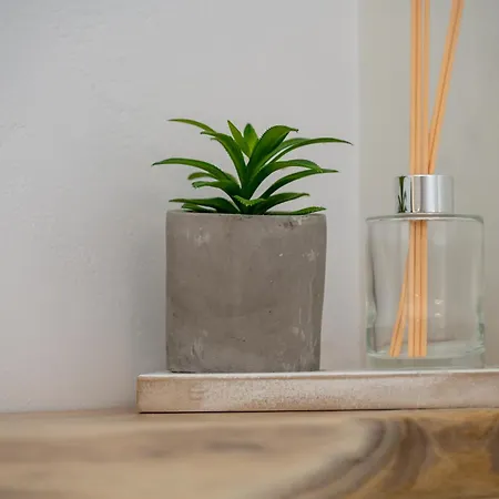 Sunny East House Apartment *