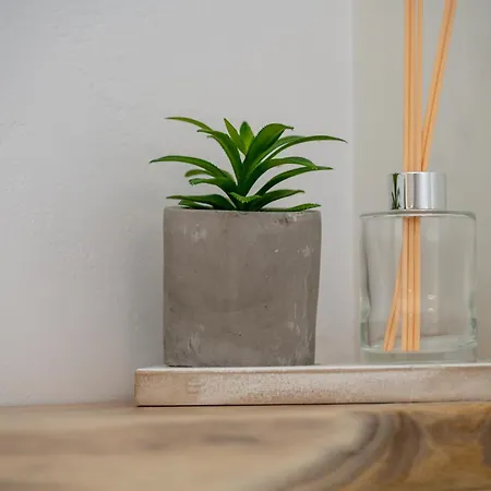 Sunny East House Apartment *